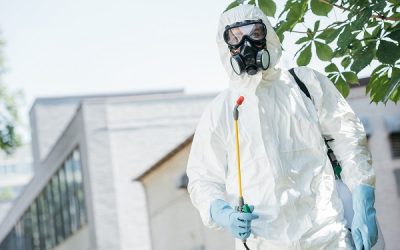 Disinfestazione dei locali pubblici: l’eccezionale servizio della Due Maich Servizi