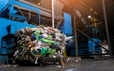 Come ridurre i costi aziendali con un corretto smaltimento dei rifiuti